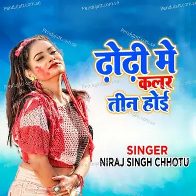 Dhodhi Me Colour Teen Hoee - NIRAJ SINGH CHHOTU album cover 