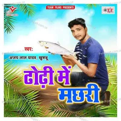 Dhodhi Me Machhari - Ajay Lal Yadav album cover 