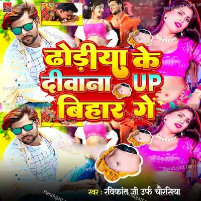 Dhodhiya Ke Diwana Up Bihar Ge - Ravikant Ji Urf Chaurasiya album cover 