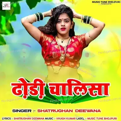 Dhodi Chalisa - Shatrughan Deewana