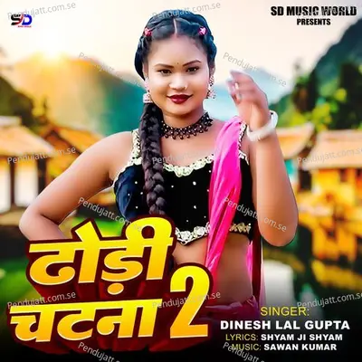 Dhodi Chatna 2 - Dinesh Lal Gupta album cover 