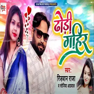 Dhodi Gahir - Rizwan Raja album cover 