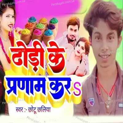 Dhodi Ke Pranam Karas - Chhotu Chhaliya album cover 