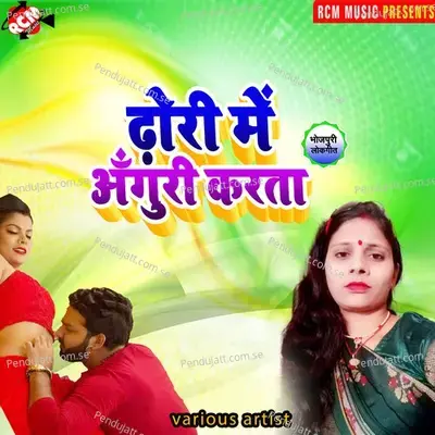 Dhodi Me Anguri Karata - Sunita nand album cover 