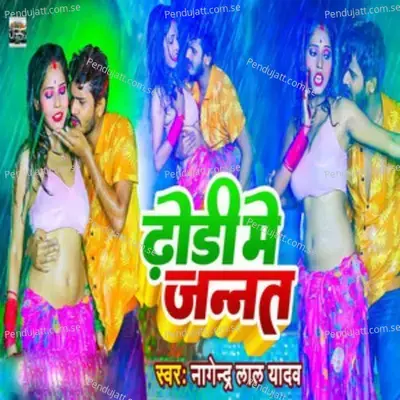 Dhodi Me Jannat - Nagendra Lal Yadav album cover 