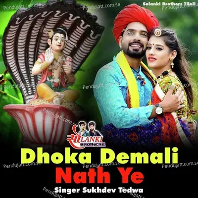 Dhoka Demali Nath Ye - Sukhdev Tedwa album cover 