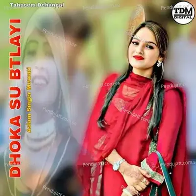 Dhoka Su Btlayi - Aslam Singer Mewati album cover 