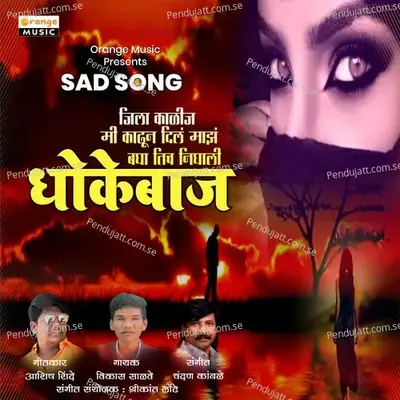 Dhokebaaz - Vikas Salve album cover 