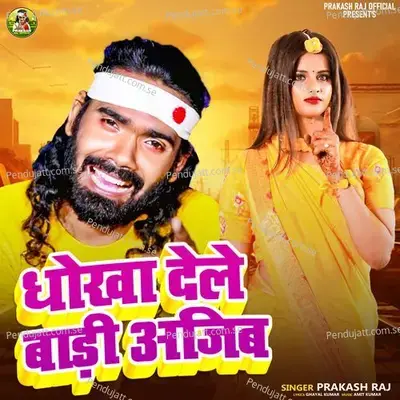 Dhokha Dele Badi Aajib - Prakash Raj