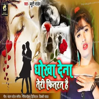 Dhokha Dena Teri Fhitrat Hai - Beauty Pandey album cover 