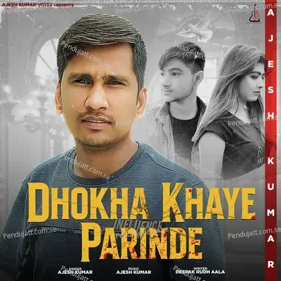 Dhokha Khaye Parinde - Ajesh Kumar album cover 