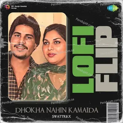 Dhokha Nahin Kamaida Lofi Flip - Swattrex album cover 