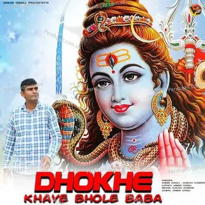 Dhokhe Khaye Bhole Baba - Vinod Gadli album cover 