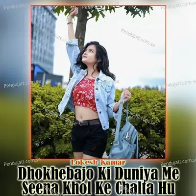 Dhokhebajo Ki Duniya Me Seena Khol Ke Chalta Hu - Lokesh Kumar album cover 