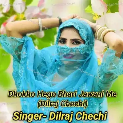 Dhokho Hego Bhari Jawani Me - Dilraj Chechi album cover 