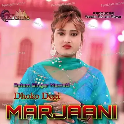 Dhoko Degi Marjaani - Aslam Singer Mewati album cover 