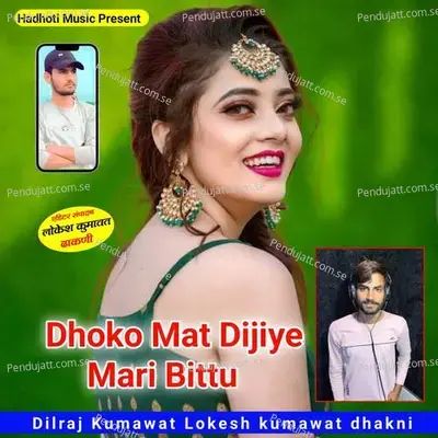 Dhoko Mat Dijiye Mari Bittu - Dilraj Kumawat album cover 