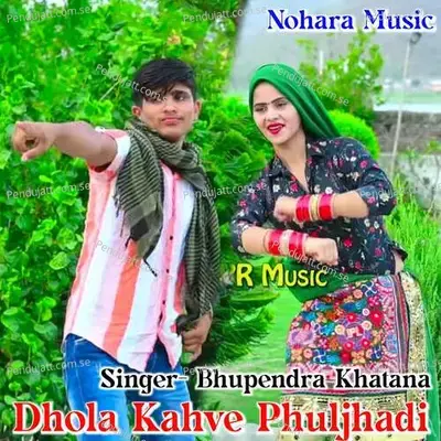 Dhola Kahve Phuljhadi - Mewadi Brothers