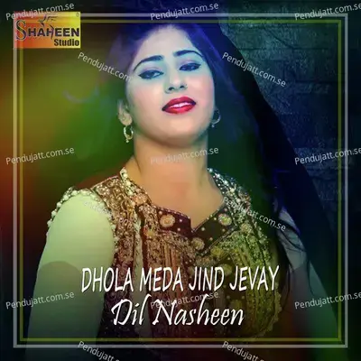 Suit Pave Kala Kala - Dil Nasheen album cover 