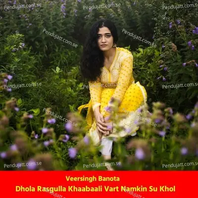 Dhola Rasgulla Khaabaali Vart Namkin Su Khol - Veersingh Banota album cover 