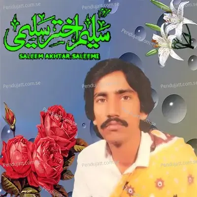 Methon Mangi Ay Dhol Nishani - Saleem Akhtar Saleemi album cover 