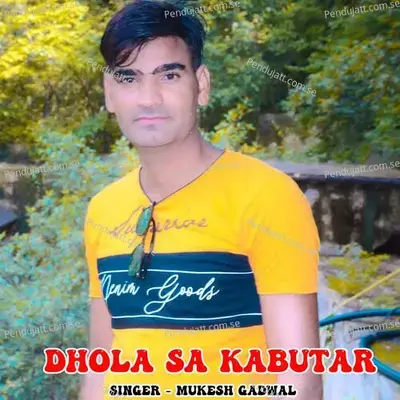 Dhola Sa Kabutar - Mukesh Gadwal album cover 