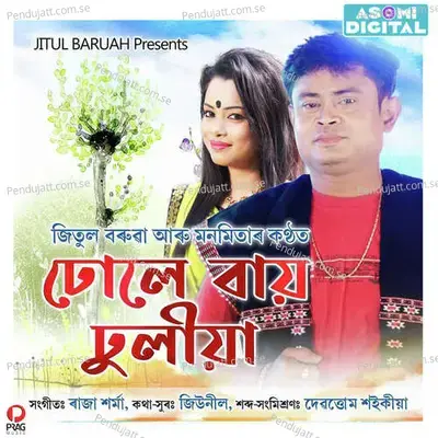 Dhole Bai Dhuliya - Manmita Bharadwaj album cover 