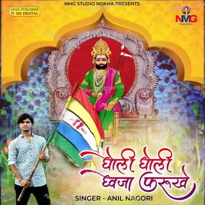 Dholi Dholi Dhvaja Farukhe - Anil Nagori album cover 