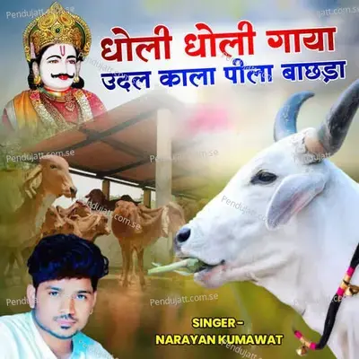 Dholi Dholi Gaya Udal Kala Pila Bachda - Narayan Kumawat