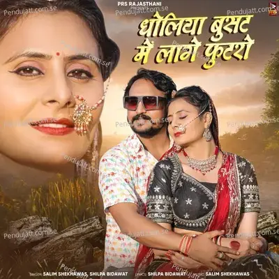 Dholiya Busat Me Lage Futro - Salim Shekhawas album cover 