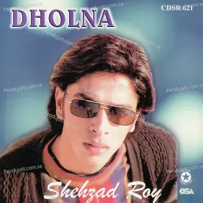 Roop - Shehzad Roy album cover 