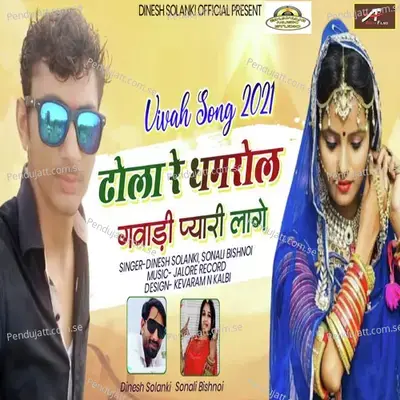 Dholo Re Dhamrol - Dinesh Solanki album cover 