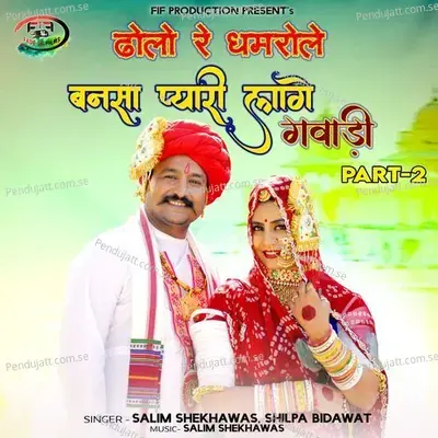 Dholo Re Dhamrole Bansa Pyari Laage Gavadi - Salim Shekhawas album cover 