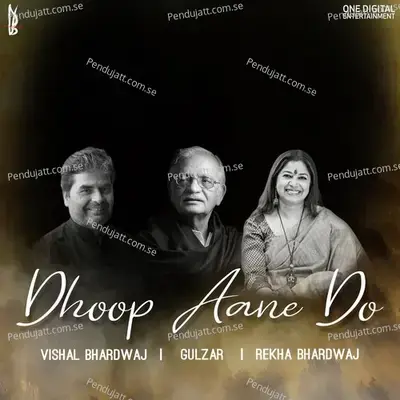 Dhoop Aane Do - Vishal Bhardwaj album cover 