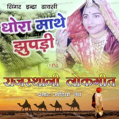 Chhodo Re Janudi Dj Song - Indra Dhawasi album cover 