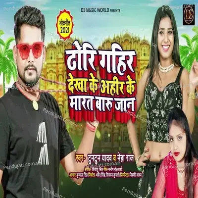 Dhori Gahir Dekha Ke Ahir Ke Marat Badu Jaan - Neha Raj album cover 