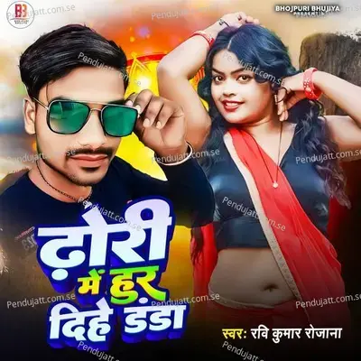 Dhori Mein Hur Dihe Danda - Ravi Kumar Rojana album cover 