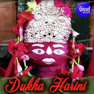 Akhi Re Nai Mun Gare Kajala - Nishi Pani album cover 