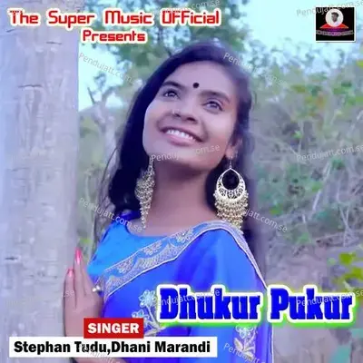 Dhukur Pukur - Stephan Tudu album cover 