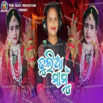 Dhulia Mamu - BHAGYASREE SUNA album cover 