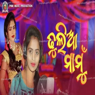 Dhulia Mamu - Rinki Bag album cover 