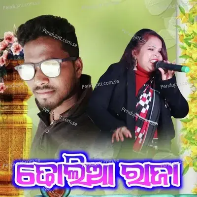 Dhulia Raja - Pinku Deep album cover 