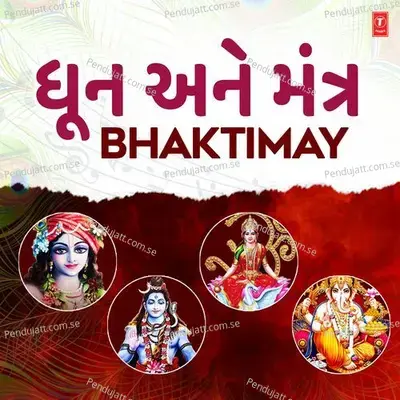 Shri Krishna Shranam Mamah - Hemant Chauhan album cover 