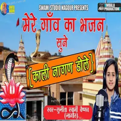Dhundhliya Dhora Mai Kali Nagan Dole - Sunita Swami album cover 