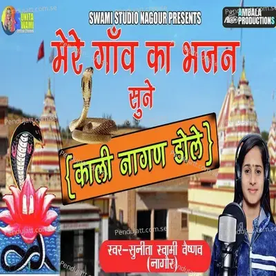 Dhundhliya Dhora Mai Kali Nagan Dole - Sunita Swami