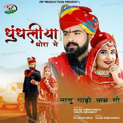 Dhundhliya Dhora Me Naju Gadi Fas Gi - Salim Shekhawas album cover 