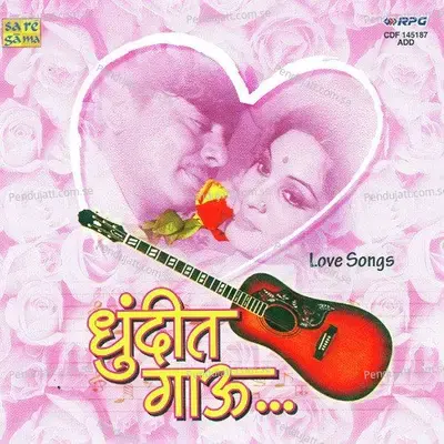 Too Raja An Mee Rani - Vasant Desai album cover 