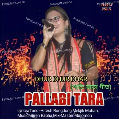 Dhur Dhur Dhar - Pallabi Tara album cover 