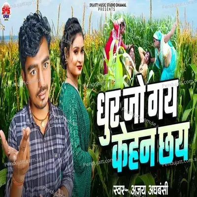 Dhur Jo Gaye Kehan Chhai - Ajay Adhabanshi album cover 