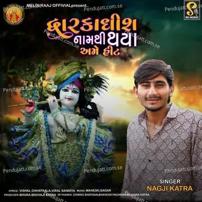 Dhwarikadhish Naam Thi Thaya Ame Hit mp3 song